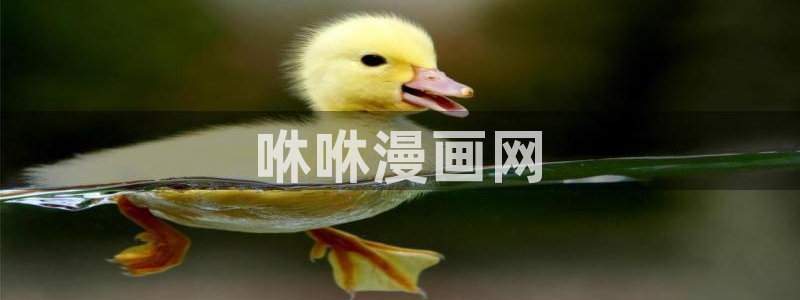 韩漫漫画在线观