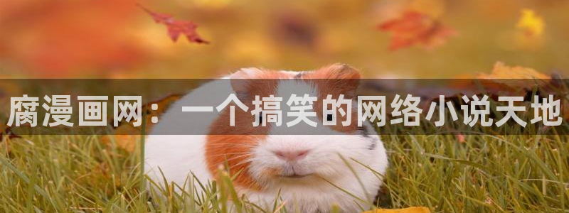 漫画韩漫免费