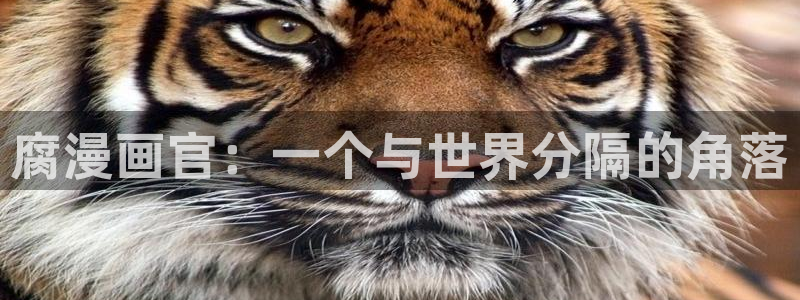 韩漫网址下载