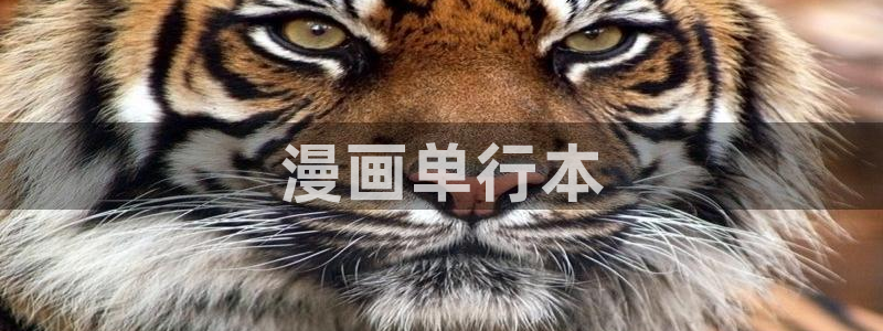 韩漫免费观看在线阅读漫画歪歪