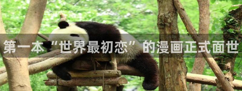 韩漫下拉式免费在线观看