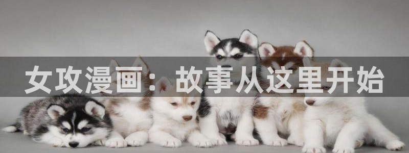 日漫韩漫免费观看
