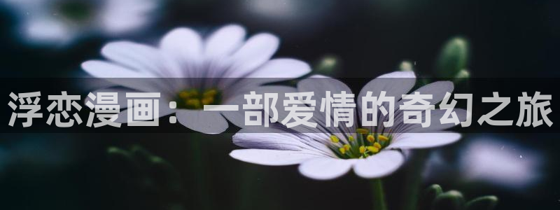 韩漫武侠漫画