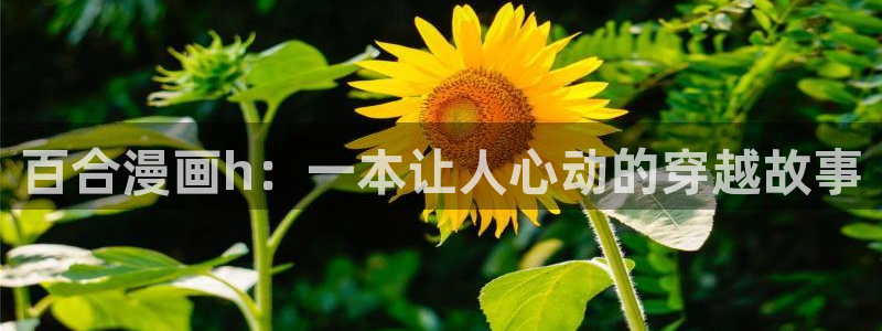韩漫漫画免费