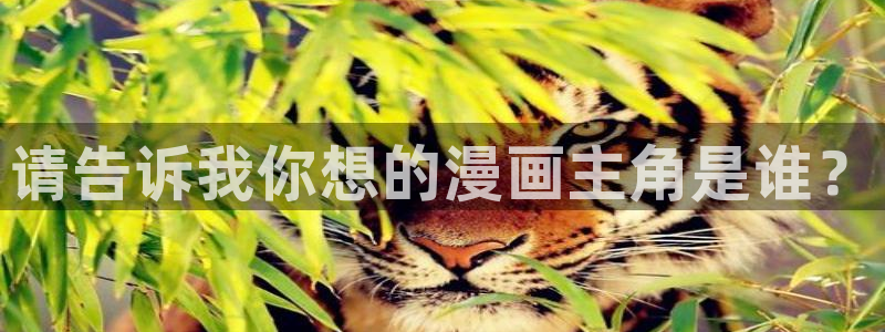 看韩漫的地址